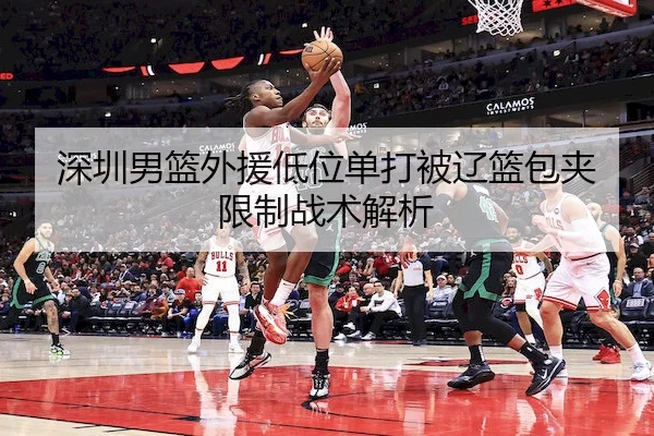 shen-zhen-nan-lan-wai-yuan-di-wei-dan-da-bei-liao-lan-bao-jia-xian-zhi-zhan-shu-jie-xi-2-172.jpg